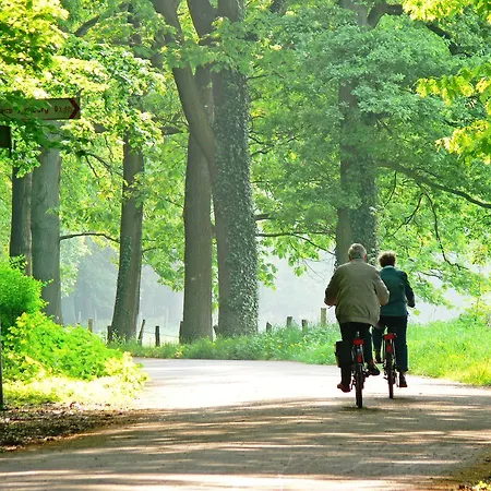 Zur Post - Economy Hotel