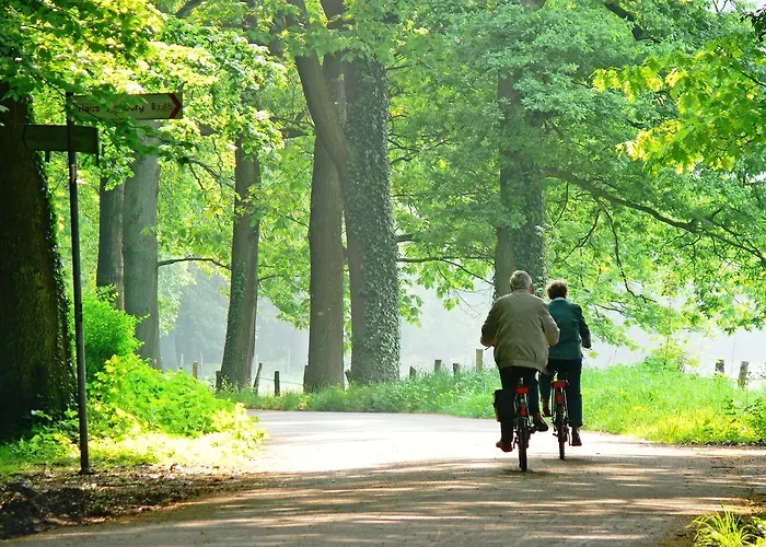Zur Post - Economy Hotel
